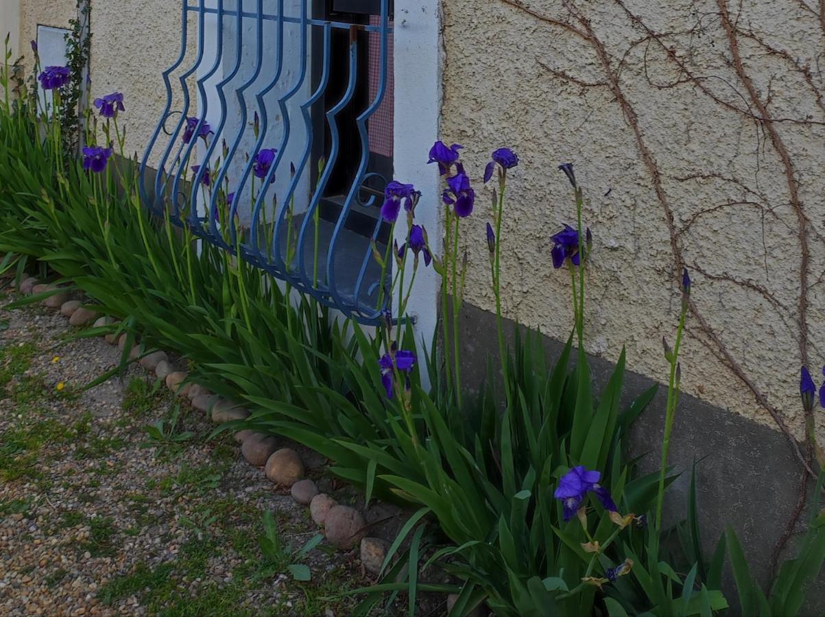 Nostal'Gite Lansargues Exterior foto
